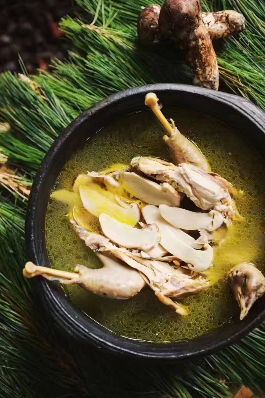 松茸炖鸡